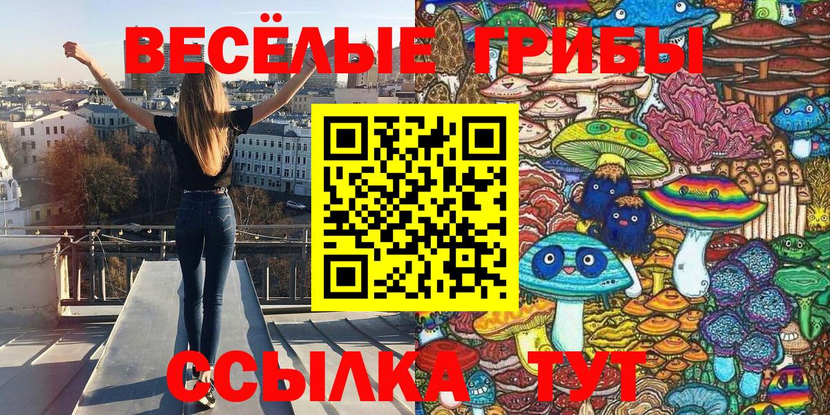 Галлюциногенные грибы прущие грибы Краснокамск